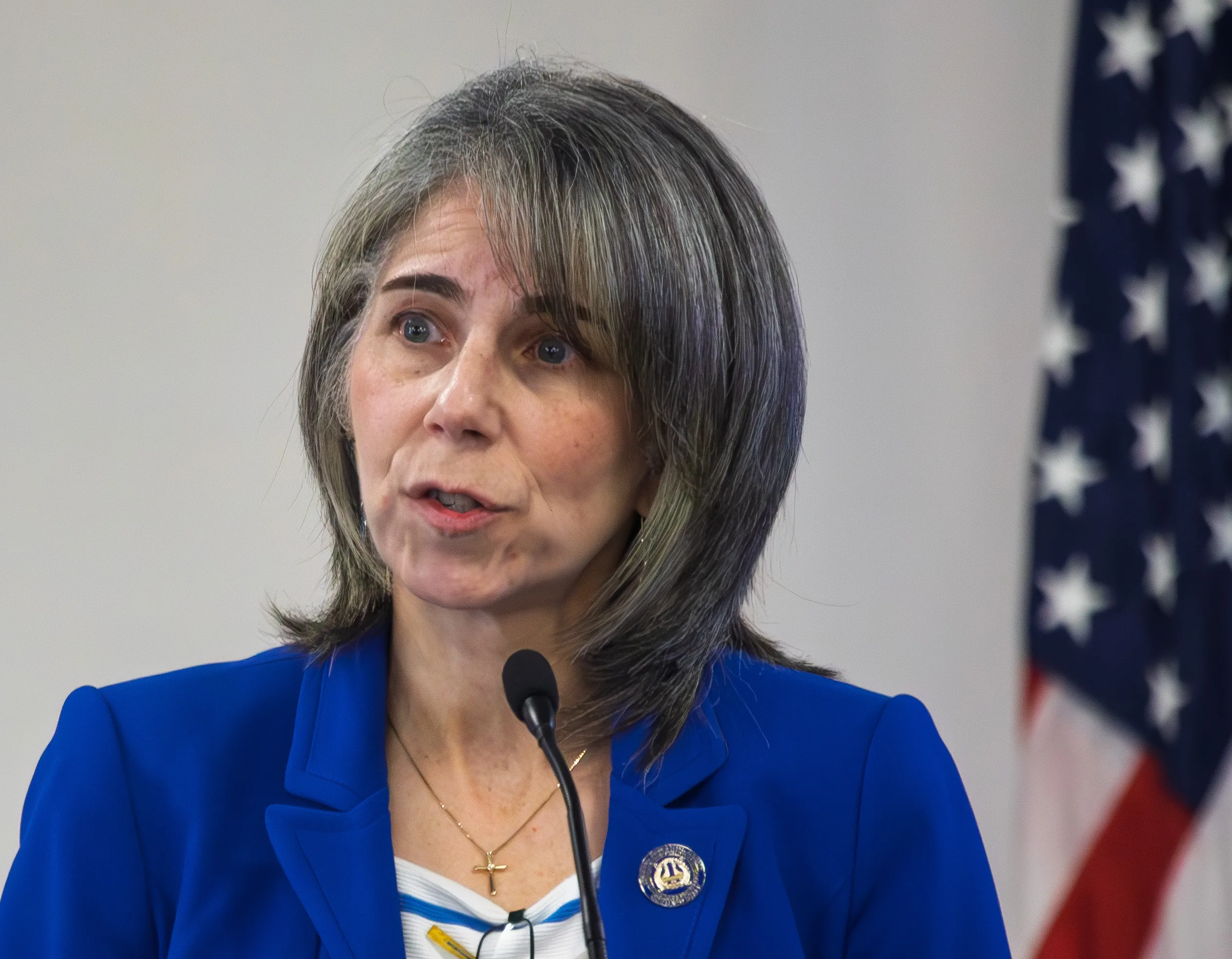 Allison C. de Cerreño, Ph.D., Chief Operating Officer, MTA Bridges and Tunnels on New York’s Congestion Relief Zone Allison C. de Cerreño, Ph.D., Chief Operating Officer, MTA Bridges and Tunnels on New York’s Congestion Relief Zone